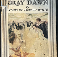 The Gray Dawn by Stewart Edward White